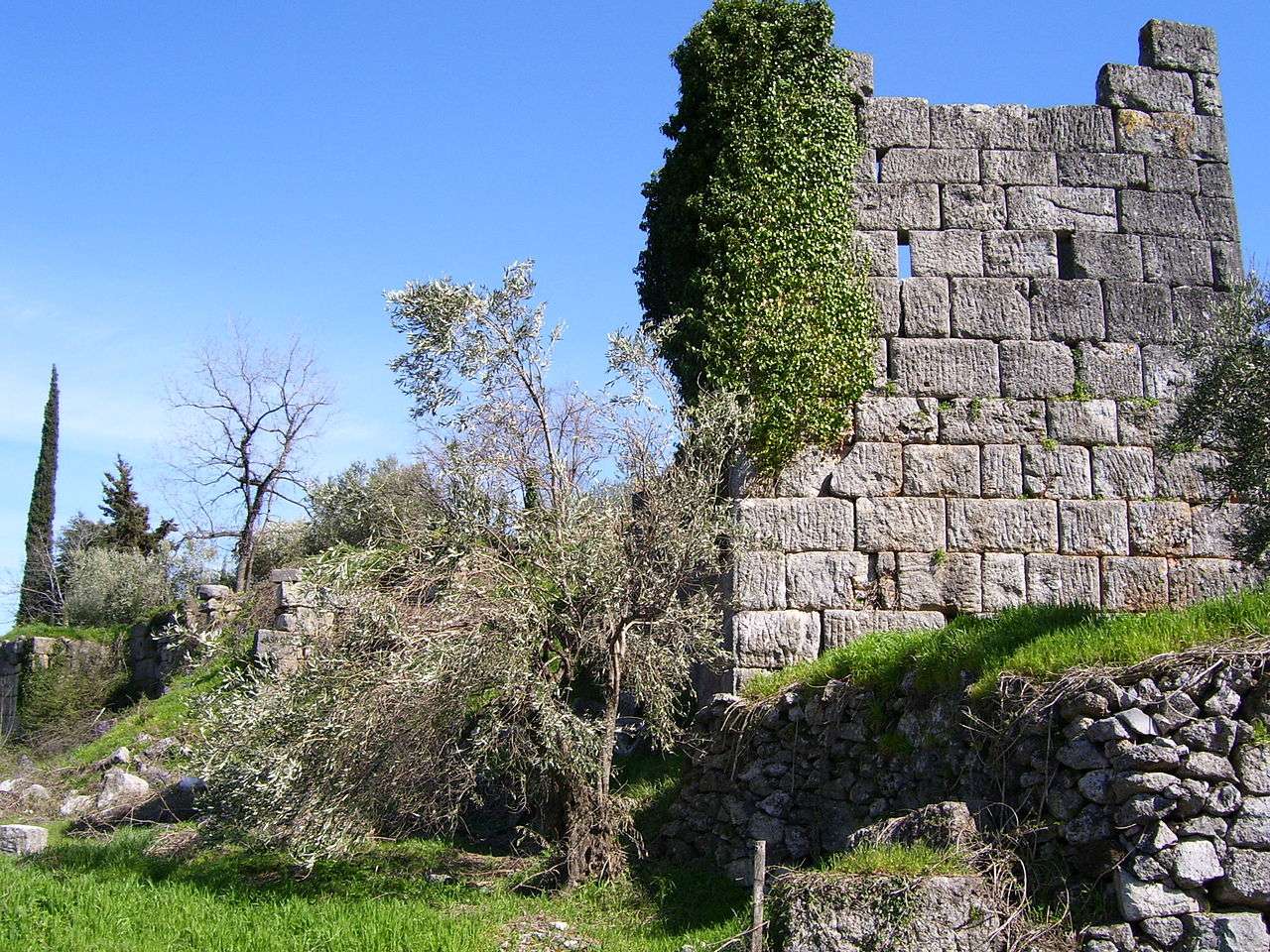 Ancient tithorea